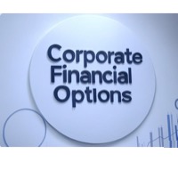 Corporate Financial Options